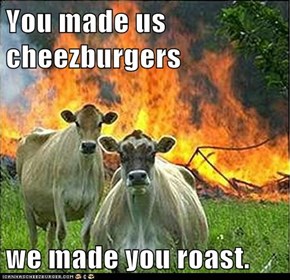 You made us cheezburgers  we made you roast.