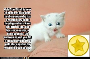 Gold Star Kitteh is heer!