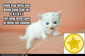 Gold Star to Cataff
