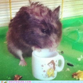 "Cuppa tea anyone?"