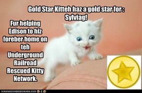 GS Kitteh haz gold star for Sylviag