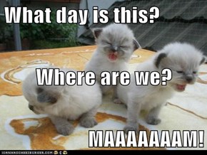 What day is this? Where are we? MAAAAAAAM!