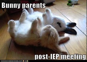 Bunny parents  post-IEP meeting