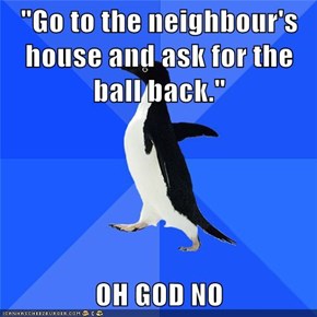 "Go to the neighbour's house and ask for the ball back."  OH GOD NO