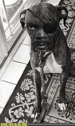 Manimals: Samuel L. Barkson