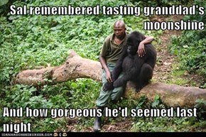 Sal remembered tasting granddad's moonshine  And how gorgeous he'd seemed last night
