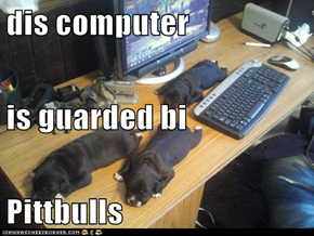 dis computer is guarded bi  Pittbulls