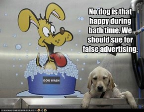 No dog is that happy during bath time. We should sue for false advertising.