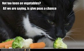 Not too keen on vegetables?