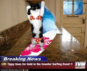 Breaking News - Tippy Goes for Gold in the Counter Surfing Event !!
