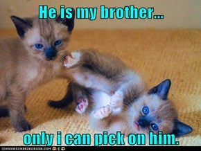 He is my brother...  only i can pick on him.