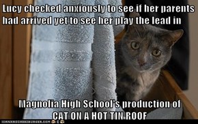 Lucy checked anxiously to see if her parents had arrived yet to see her play the lead in  Magnolia High School's production of                    CAT ON A HOT TIN ROOF