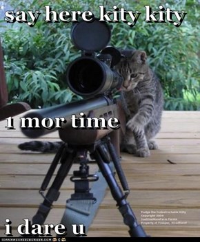 say here kity kity 1 mor time i dare u