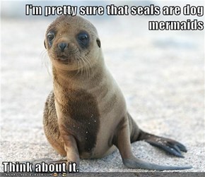 I'm pretty sure that seals are dog mermaids  Think about it.