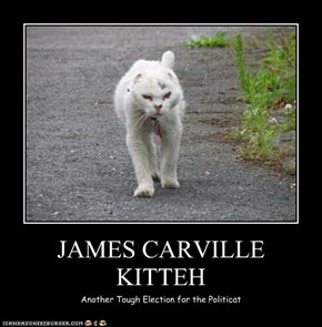 JAMES CARVILLE  KITTEH