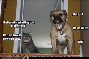 Wat dat?