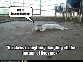 "No claws in anything dangling off the bottom of livestock"