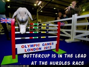 Kamp Olimpiks - Bunny Hurdles