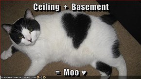 Ceiling  +  Basement  =  Moo ♥