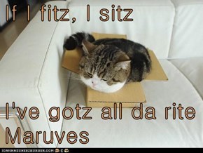 If I fitz, I sitz  I've gotz all da rite Maruves