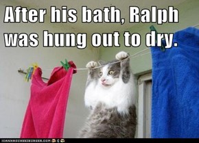 After his bath, Ralph was hung out to dry.