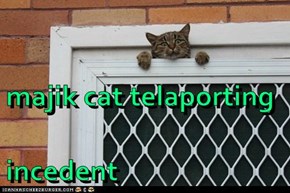 majik cat telaporting incedent