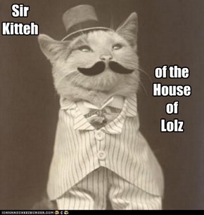 Sir Kitteh of the House of Lolz