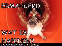 ERMAHGERD!  WAT IS HAPENIN?