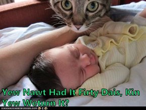 Yew Nawt Had It Firty Dais, Kin Yew Weturn It?