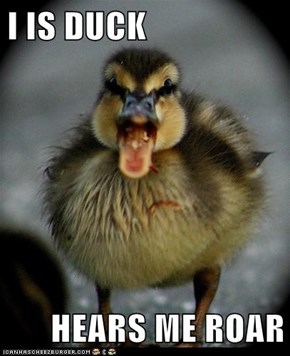 I IS DUCK  HEARS ME ROAR