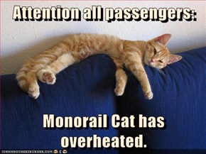 Attention all passengers:  Monorail Cat has overheated.