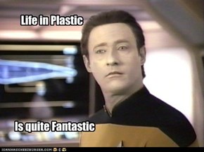 Life in Plastic
