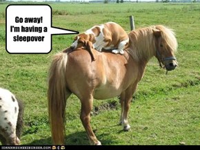 Go away! I'm having a sleepover