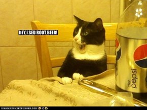 hEY i SED ROOT BEER!