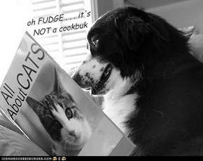 oh FUDGE . . . it's NOT a cookbuk