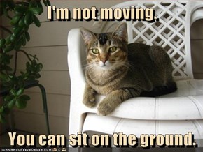 I'm not moving.  You can sit on the ground.