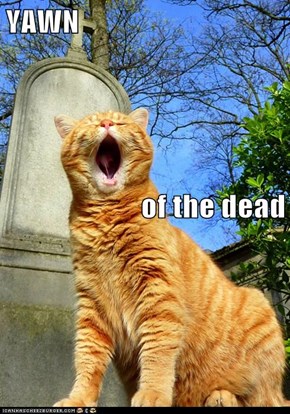 YAWN of the dead