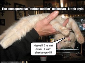 Classic LOLcat