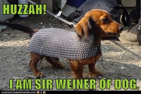 HUZZAH!  I AM SIR WEINER OF DOG.