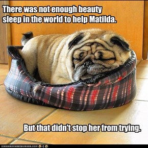 There was not enough beauty sleep in the world to help Matilda.