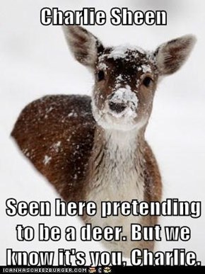 Charlie Sheen  Seen here pretending to be a deer. But we know it's you, Charlie.