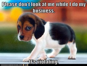 Please don't look at me while I do my business.  It's violating.
