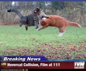 Breaking News - Hovercat Collision, Film at 11!!