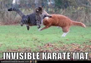 INVISIBLE KARATE MAT