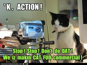 ' K ,   ACTION !