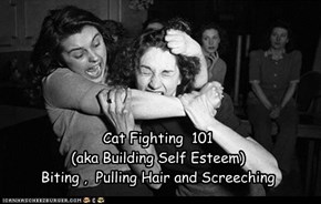 Cat Fighting  101  (aka Building Self Esteem) Biting ,  Pulling Hair and Screeching