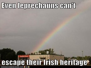Even leprechauns can't  escape their Irish heritage