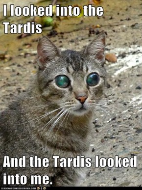 I looked into the Tardis  And the Tardis looked into me.