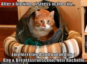 After a lifetime of stress in the city...  Lorelei retired and opened up a                   Bag & Breakfast in scenic New Rochelle