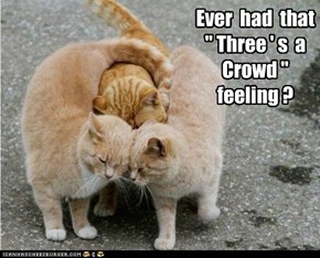 Ever  had  that  " Three ' s  a  Crowd "  feeling ?